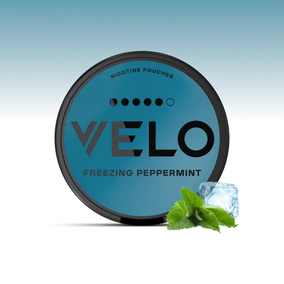 פאוץ' VELO