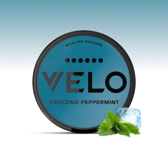 פאוץ' VELO