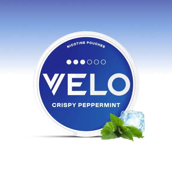 פאוץ' VELO