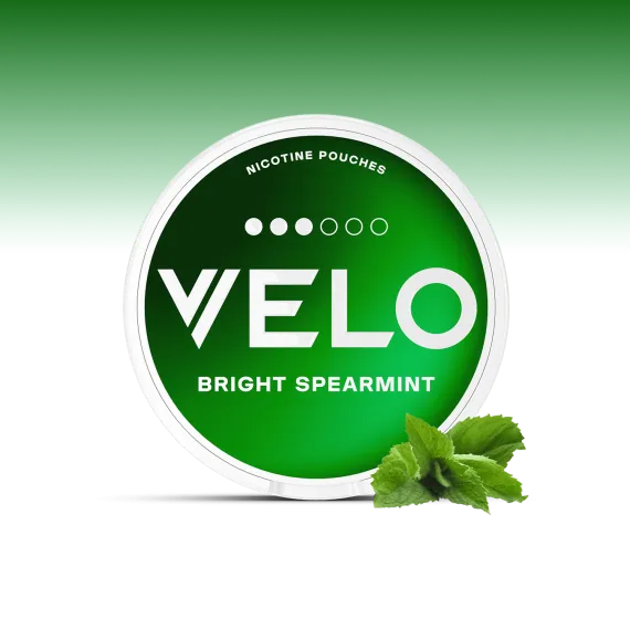 פאוץ' VELO