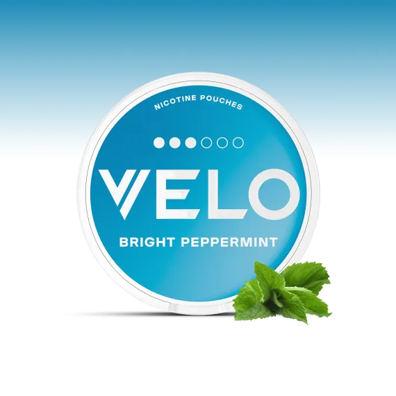פאוץ' VELO