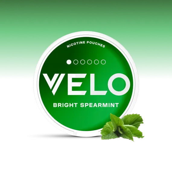 פאוץ' VELO