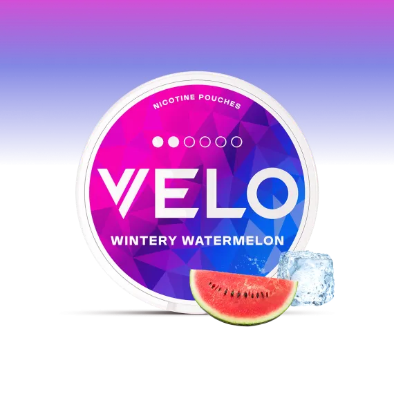 פאוץ' VELO