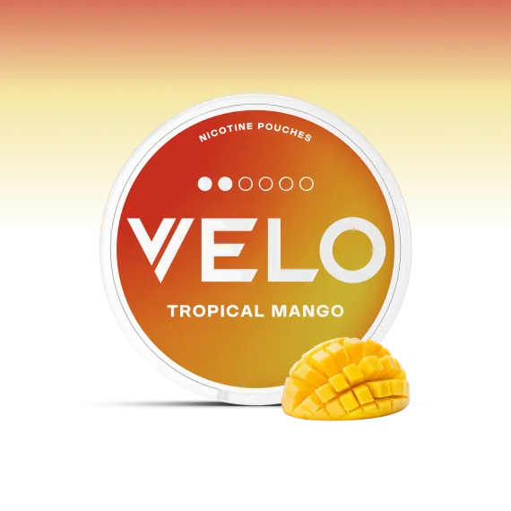 פאוץ' VELO
