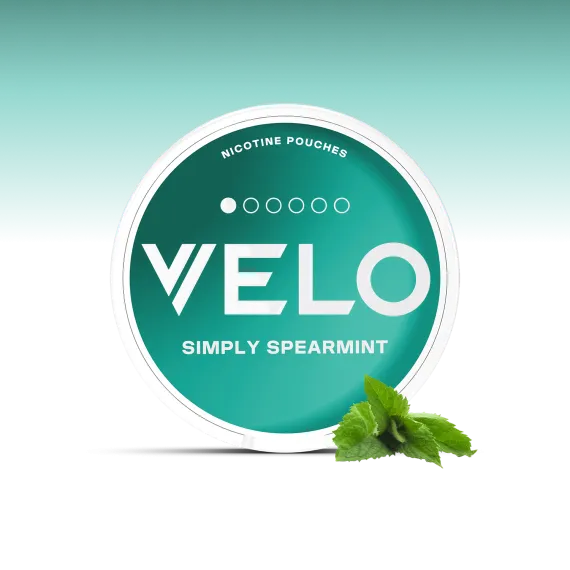 פאוץ' VELO