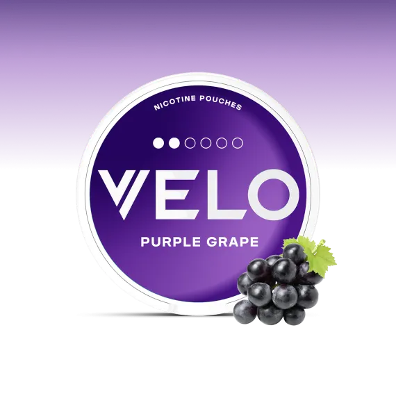פאוץ' VELO