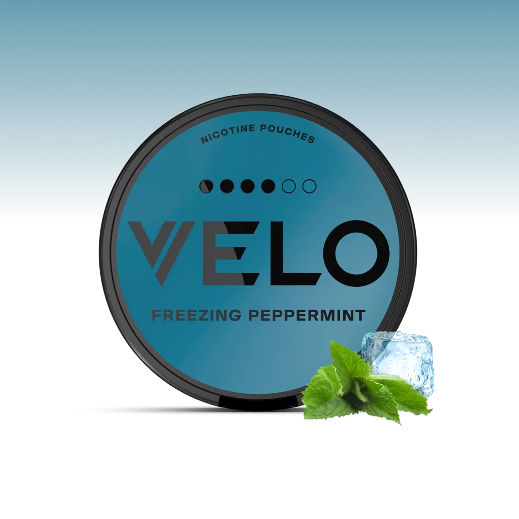 פאוץ' VELO